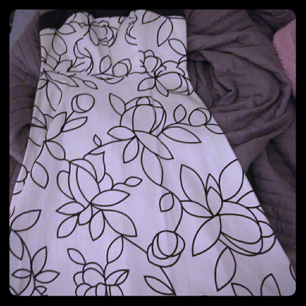 Petite Size 4, Brown And Ivory Dress